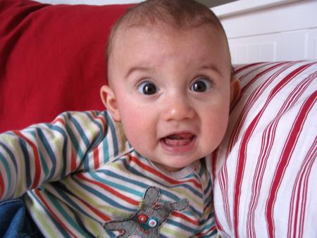 7 mois