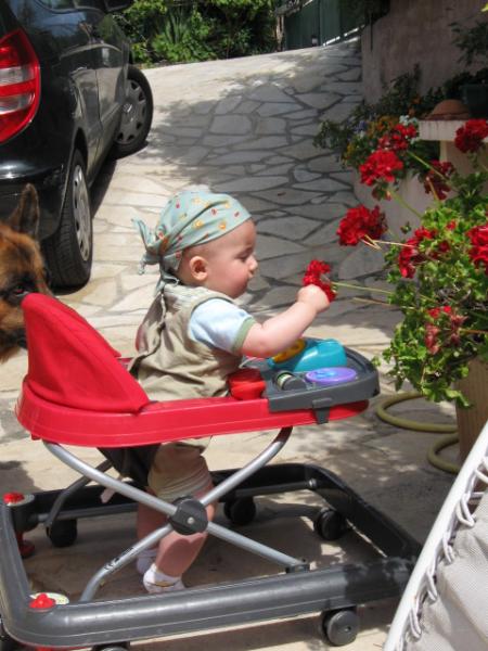 tres belle fleure
